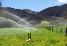 Piura: Profesionales del sector agrario se capacitan en riego tecnificado Profesionales del sector agrario se capacitan en riego tecnificado en Piura