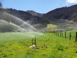 Piura: Profesionales del sector agrario se capacitan en riego tecnificado Profesionales del sector agrario se capacitan en riego tecnificado en Piura