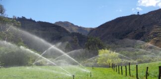 Piura: Profesionales del sector agrario se capacitan en riego tecnificado Profesionales del sector agrario se capacitan en riego tecnificado en Piura