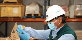 Perú exportará huevos fértiles y pollos reproductores a Ecuador tras acuerdo sanitario Perú exportará huevos fértiles y pollos reproductores a Ecuador tras acuerdo sanitario