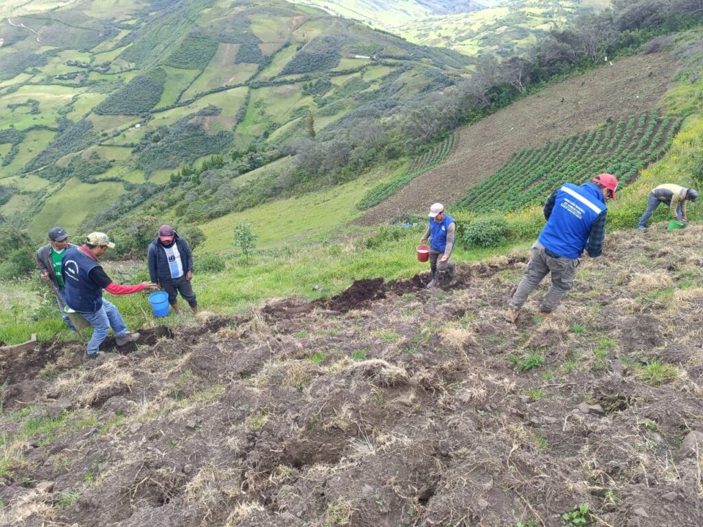 Más de 1,400 productores de Huancabamba son beneficiados con proyecto de agricultura familiar