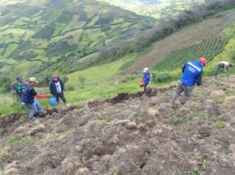 Más de 1,400 productores de Huancabamba son beneficiados con proyecto de agricultura familiar Más de 1,400 productores de Huancabamba son beneficiados con proyecto de agricultura familiar
