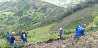 Más de 1,400 productores de Huancabamba son beneficiados con proyecto de agricultura familiar Más de 1,400 productores de Huancabamba son beneficiados con proyecto de agricultura familiar
