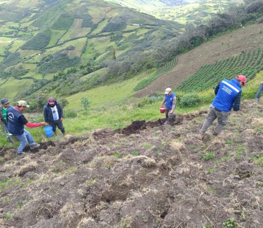 Más de 1,400 productores de Huancabamba son beneficiados con proyecto de agricultura familiar Más de 1,400 productores de Huancabamba son beneficiados con proyecto de agricultura familiar