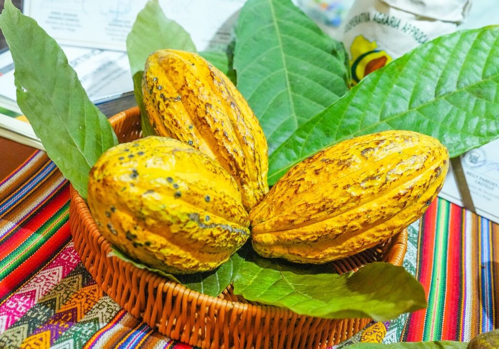 Midagri oficializa la FICACAO 2026 en Cusco para impulsar el cacao peruano