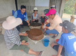 Productores pecuarios de Piura aprenden a elaborar alimentos artesanales para su ganado Productores pecuarios de Piura aprenden a elaborar alimentos artesanales para su ganado