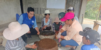 Productores pecuarios de Piura aprenden a elaborar alimentos artesanales para su ganado Productores pecuarios de Piura aprenden a elaborar alimentos artesanales para su ganado