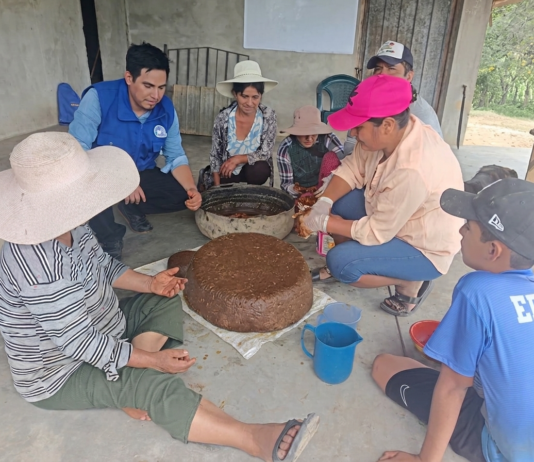 Productores pecuarios de Piura aprenden a elaborar alimentos artesanales para su ganado Productores pecuarios de Piura aprenden a elaborar alimentos artesanales para su ganado