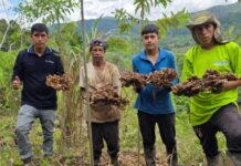 Minam impulsa negocios verdes con más de S/ 49 millones y lanza IMPACTA Verde 2026
