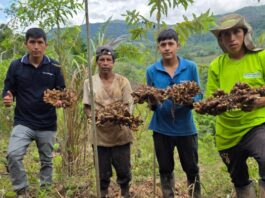 Minam impulsa negocios verdes con más de S/ 49 millones y lanza IMPACTA Verde 2026