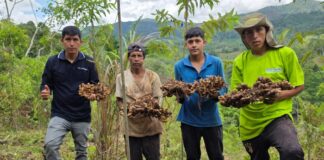 Minam impulsa negocios verdes con más de S/ 49 millones y lanza IMPACTA Verde 2026