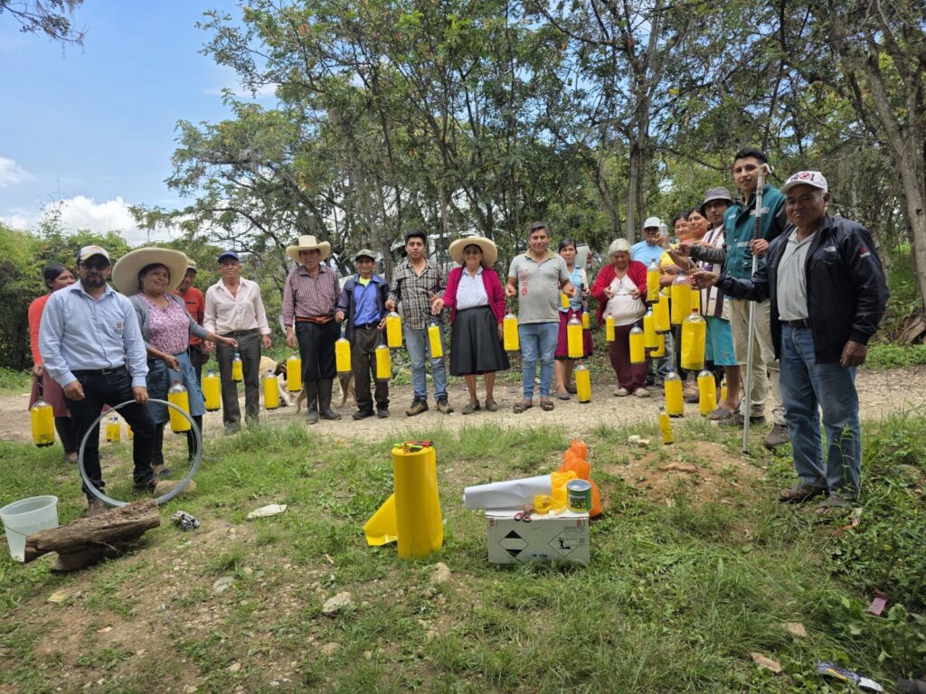 Perú fortalece control de la mosca de la fruta para impulsar agroexportaciones Perú fortalece control de la mosca de la fruta para impulsar agroexportaciones