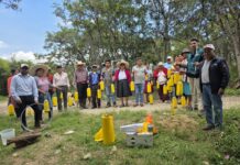 Perú fortalece control de la mosca de la fruta para impulsar agroexportaciones Perú fortalece control de la mosca de la fruta para impulsar agroexportaciones