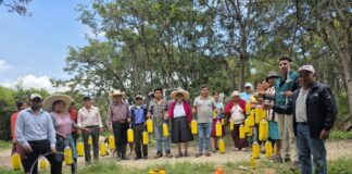 Perú fortalece control de la mosca de la fruta para impulsar agroexportaciones Perú fortalece control de la mosca de la fruta para impulsar agroexportaciones