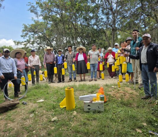 Perú fortalece control de la mosca de la fruta para impulsar agroexportaciones Perú fortalece control de la mosca de la fruta para impulsar agroexportaciones