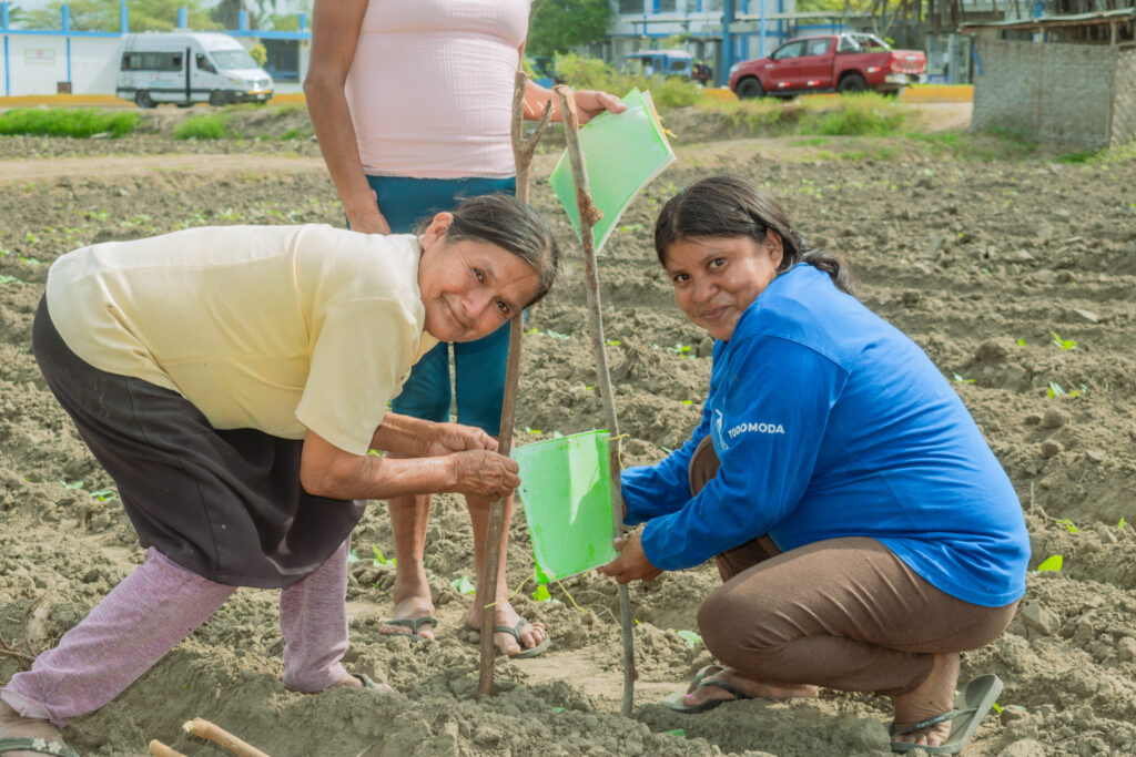 Asociación de mujeres en Sechura implementa trampas ecológicas para controlar plagas en frijol caupí