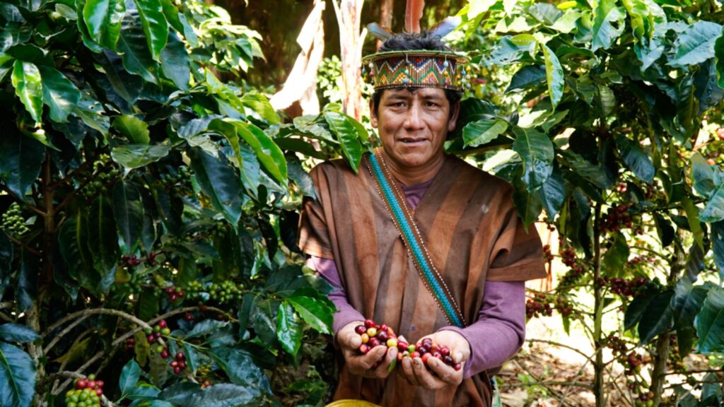 Más de 14 mil agricultores del Perú acceden a S/ 226 millones en créditos del MIDAGRI