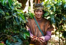 Más de 14 mil agricultores del Perú acceden a S/ 226 millones en créditos del MIDAGRI Más de 14 mil agricultores del Perú acceden a S/ 226 millones en créditos del MIDAGRI