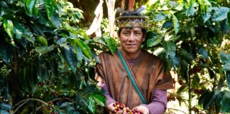 Más de 14 mil agricultores del Perú acceden a S/ 226 millones en créditos del MIDAGRI Más de 14 mil agricultores del Perú acceden a S/ 226 millones en créditos del MIDAGRI