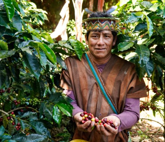 Más de 14 mil agricultores del Perú acceden a S/ 226 millones en créditos del MIDAGRI Más de 14 mil agricultores del Perú acceden a S/ 226 millones en créditos del MIDAGRI