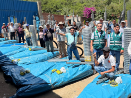 Productores de Áncash mejoran cultivo de palta con riego tecnificado Productores de Áncash mejoran cultivo de palta con riego tecnificado