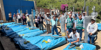 Productores de Áncash mejoran cultivo de palta con riego tecnificado Productores de Áncash mejoran cultivo de palta con riego tecnificado
