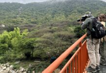 Promueven la conservación de aves en los bosques de Piura durante el Global Big Day 2026 Promueven la conservación de aves en los bosques de Piura durante el Global Big Day 2026