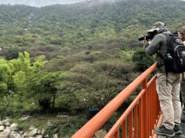 Promueven la conservación de aves en los bosques de Piura durante el Global Big Day 2026 Promueven la conservación de aves en los bosques de Piura durante el Global Big Day 2026