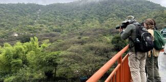 Promueven la conservación de aves en los bosques de Piura durante el Global Big Day 2026 Promueven la conservación de aves en los bosques de Piura durante el Global Big Day 2026