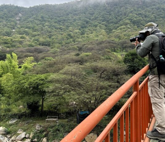 Promueven la conservación de aves en los bosques de Piura durante el Global Big Day 2026 Promueven la conservación de aves en los bosques de Piura durante el Global Big Day 2026