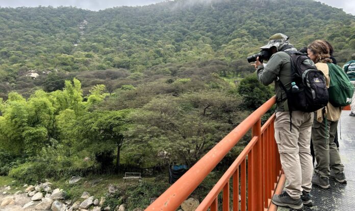 Promueven la conservación de aves en los bosques de Piura durante el Global Big Day 2026