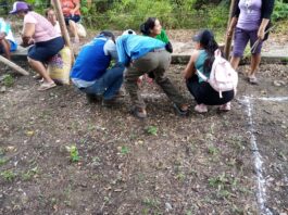 Piura: Más de 150 familias reciben apoyo agrícola con viveros en San Juan de Bigote Más de 150 familias reciben apoyo agrícola con viveros en San Juan de Bigote