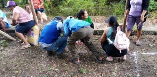 Piura: Más de 150 familias reciben apoyo agrícola con viveros en San Juan de Bigote Más de 150 familias reciben apoyo agrícola con viveros en San Juan de Bigote
