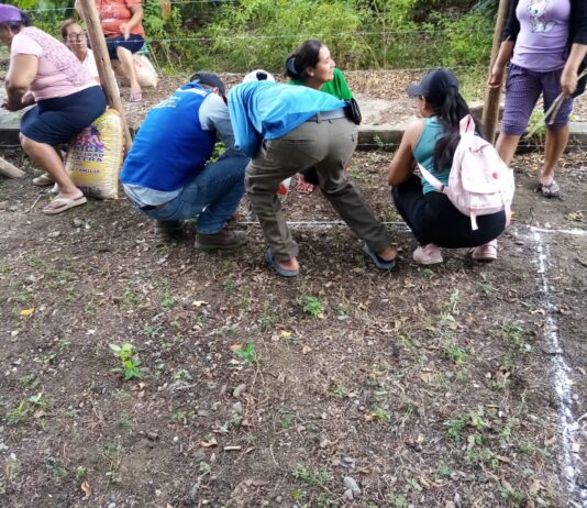 Piura: Más de 150 familias reciben apoyo agrícola con viveros en San Juan de Bigote Más de 150 familias reciben apoyo agrícola con viveros en San Juan de Bigote