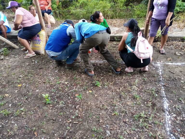 Más de 150 familias reciben apoyo agrícola con viveros en San Juan de Bigote