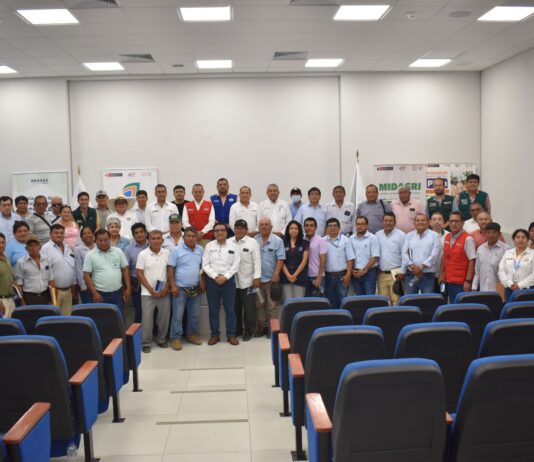 Gobierno y agricultores coordinan acciones para estabilizar el precio del arroz en Piura Gobierno y agricultores coordinan acciones para estabilizar el precio del arroz en Piura