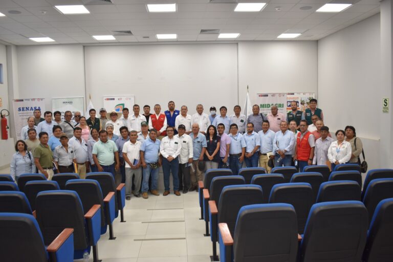 Gobierno y agricultores coordinan acciones para estabilizar el precio del arroz en Piura