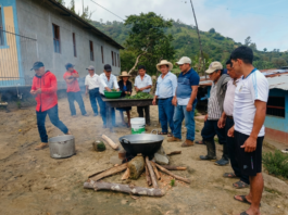 Piura: Familias ganaderas de Frías elaboran remedio natural con plantas medicinales para mejorar la sanidad animal Familias ganaderas de Frías elaboran remedio natural con plantas medicinales para mejorar la sanidad animal