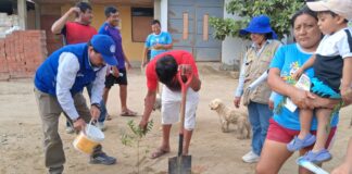 Agricultores de Cura Mori reciben capacitación sobre especies maderables Agricultores de Cura Mori reciben capacitación sobre especies maderables