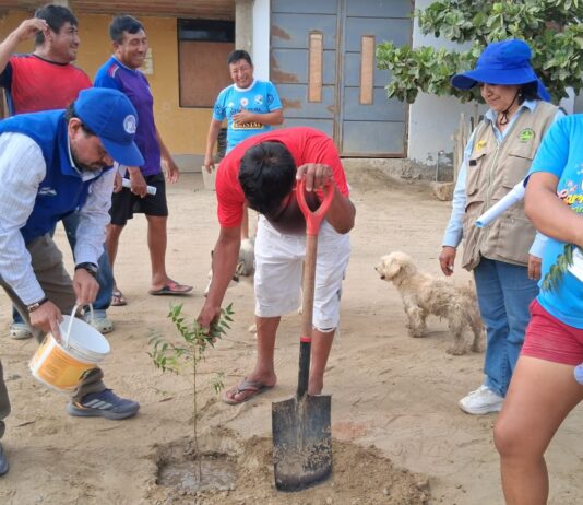 Agricultores de Cura Mori reciben capacitación sobre especies maderables Agricultores de Cura Mori reciben capacitación sobre especies maderables