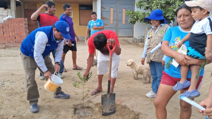 Agricultores de Cura Mori reciben capacitación sobre especies maderables