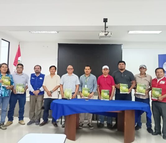Piura: Mesa Técnica del Bambú renueva su directiva para periodo 2026-2028 Piura: Mesa Técnica del Bambú renueva su directiva para periodo 2026-2028