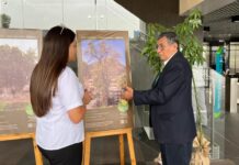 Perú: lanzan registro oficial de árboles patrimoniales para su conservación Perú: lanzan registro oficial de árboles patrimoniales para su conservación