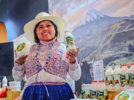 Salón del Queso Peruano 2026 reúne más de 200 productores de todo el país Salón del Queso Peruano 2026 reúne más de 200 productores de todo el país