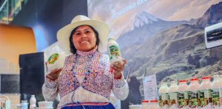 Salón del Queso Peruano 2026 reúne más de 200 productores de todo el país Salón del Queso Peruano 2026 reúne más de 200 productores de todo el país