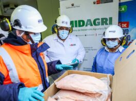 Perú logra 19 nuevos accesos para exportaciones agropecuarias en 2026 Perú logra 19 nuevos accesos para exportaciones agropecuarias en 2026