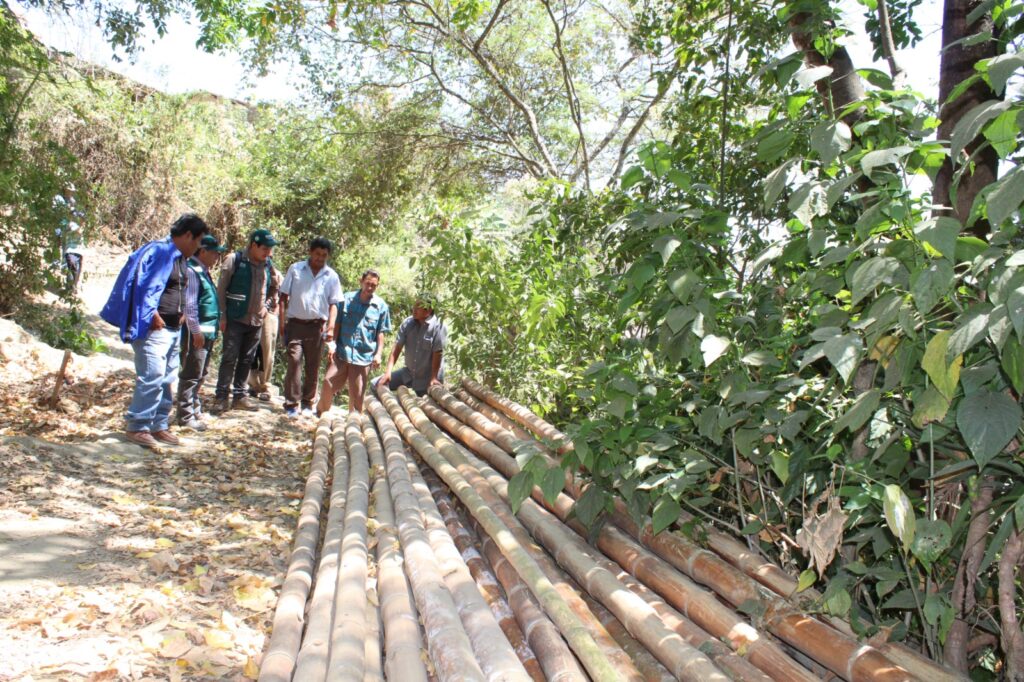 Piura: impulsan manejo sostenible de recursos forestales en Yamango