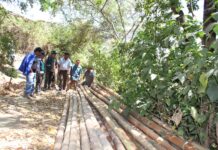 Piura: impulsan manejo sostenible de recursos forestales en Yamango Piura: impulsan manejo sostenible de recursos forestales en Yamango