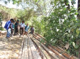 Piura: impulsan manejo sostenible de recursos forestales en Yamango Piura: impulsan manejo sostenible de recursos forestales en Yamango