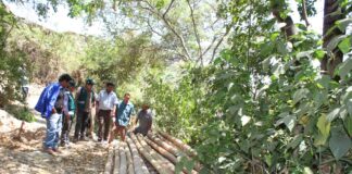 Piura: impulsan manejo sostenible de recursos forestales en Yamango Piura: impulsan manejo sostenible de recursos forestales en Yamango